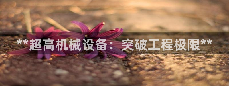 杏盛平台：**超高机械设备：突破工程极限**