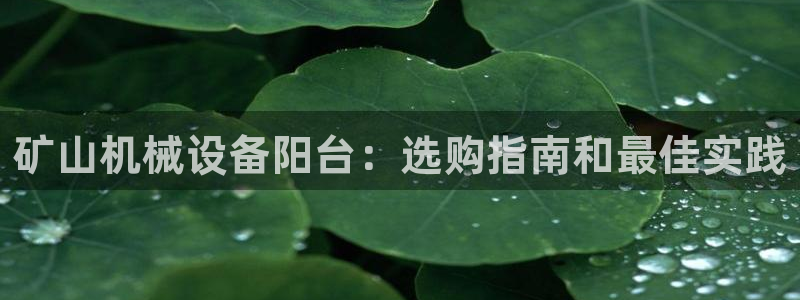 杏盛注册登录：矿山机械设备阳台：选购指南和最佳实践