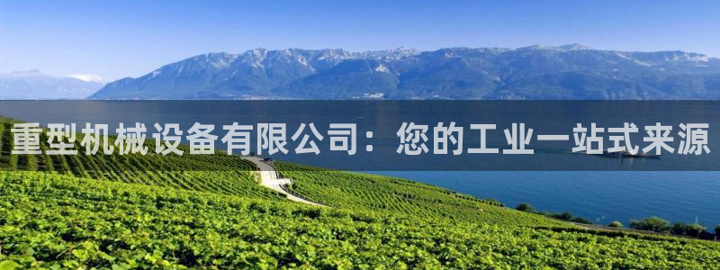 杏盛平台注册：重型机械设备有限公司：您的工业一站式来源