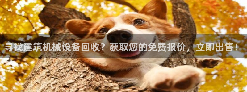 杏盛平台上级：寻找建筑机械设备回收？获取您的免费报价，立即出售！
