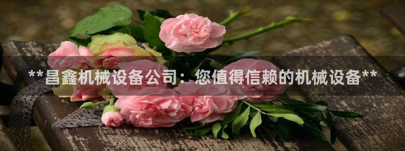 杏盛平台官网：**昌鑫机械设备公司：您值得信赖的机械设备**