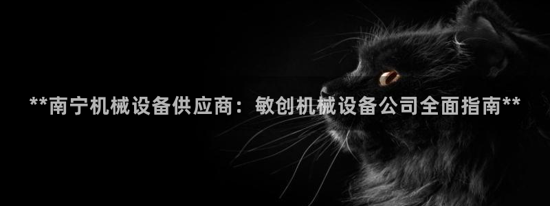 杏盛主管：**南宁机械设备供应商：敏创机械设备公司全面指南**