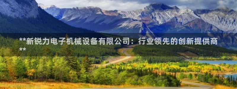 杏盛平台注册登录：**新锐力电子机械设备有限公司：行业领先的创新提供商
**