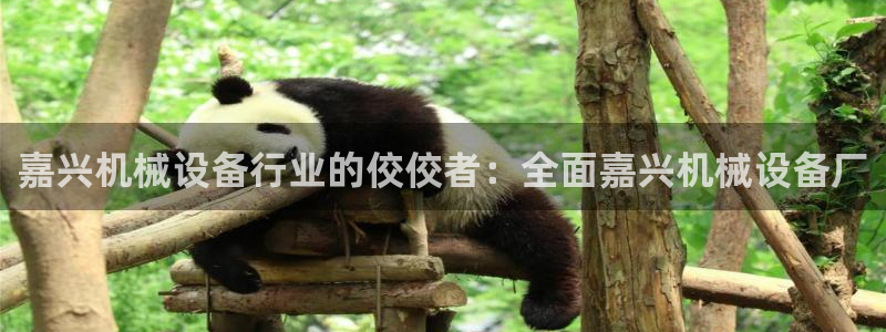 杏盛平台主管：嘉兴机械设备行业的佼佼者：全面嘉兴机械设备厂