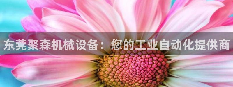杏盛平台：东莞聚森机械设备：您的工业自动化提供商