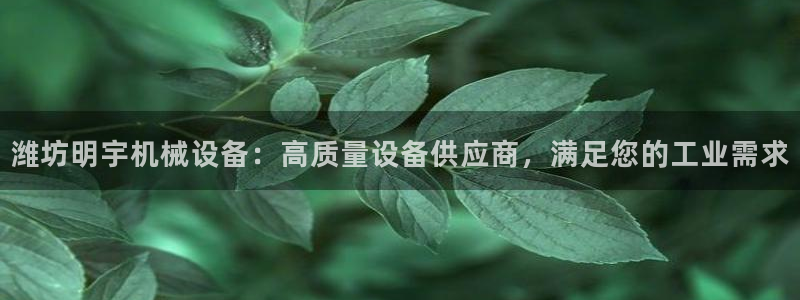 杏盛平台登录：潍坊明宇机械设备：高质量设备供应商，满足您的工业需求