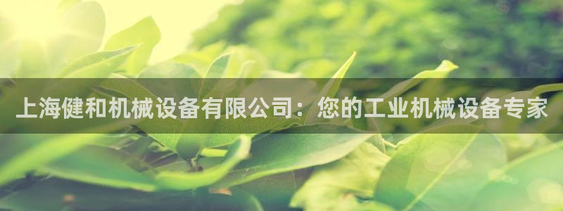 杏盛官网：上海健和机械设备有限公司：您的工业机械设备专家