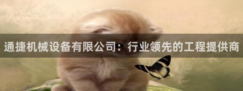 杏盛平台登陆：通捷机械设备有限公司：行业领先的工程提供商