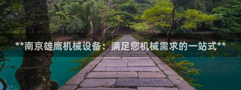 杏盛平台主管：**南京雄鹰机械设备：满足您机械需求的一站式**