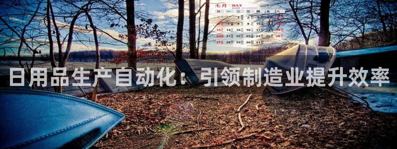 杏盛平台开户 贴吧：日用品生产自动化：引领制造业提升效率