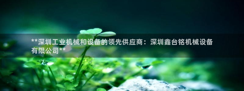 杏盛平台上级：**深圳工业机械和设备的领先供应商：深圳鑫台铭机械设备
有限公司*