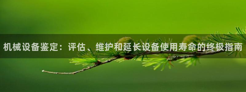 杏盛平台登陆：机械设备鉴定：评估、维护和延长设备使用寿命的终极指南