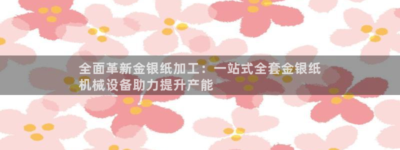 杏盛平台注册：全面革新金银纸加工：一站式全套金银纸
机械设备助力提升产能