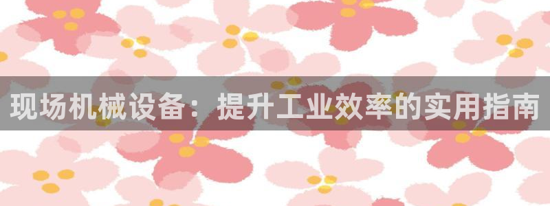 杏盛平台开户：现场机械设备：提升工业效率的实用指南