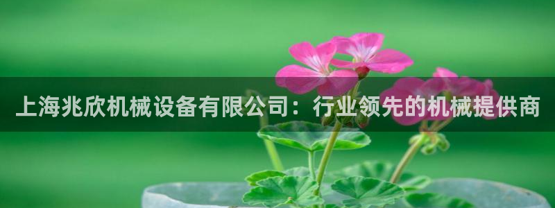杏盛app下载：上海兆欣机械设备有限公司：行业领先的机械提供商