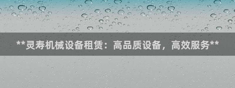 杏盛开户地址：**灵寿机械设备租赁：高品质设备，高效服务**