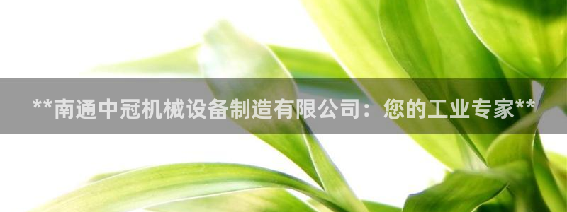 杏盛平台官网注册登录：**南通中冠机械设备制造有限公司：您的工业专家**