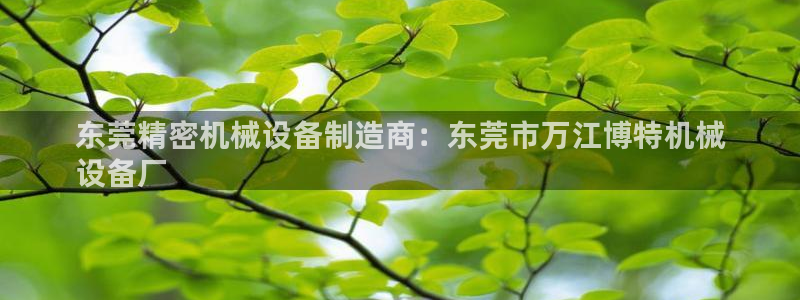 杏盛开户地址：东莞精密机械设备制造商：东莞市万江博特机械
设备厂