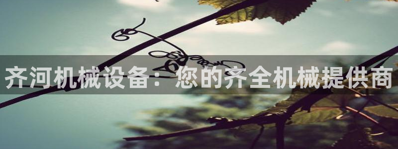 杏盛平台代理：齐河机械设备：您的齐全机械提供商