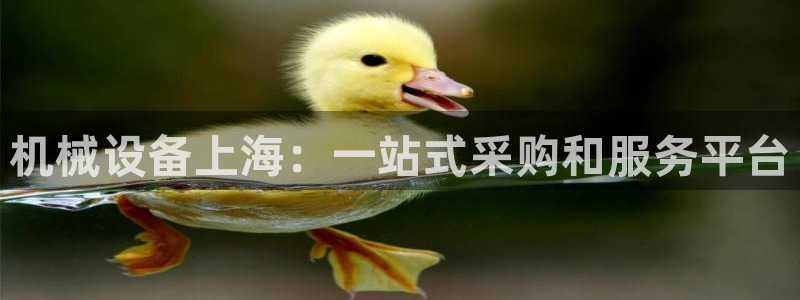 杏盛平台官网注册登录：机械设备上海：一站式采购和服务平台