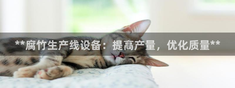 杏盛平台登录地址：**腐竹生产线设备：提高产量，优化质量**