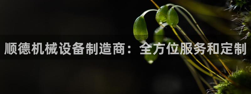 杏盛平台代理：顺德机械设备制造商：全方位服务和定制