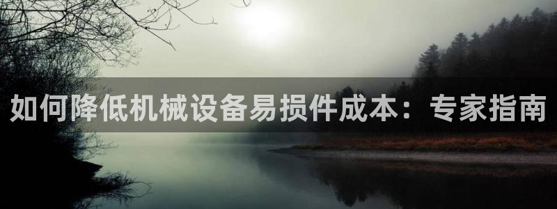 杏盛官方平台：如何降低机械设备易损件成本：专家指南