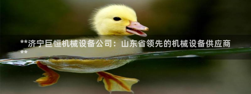 杏盛平台登陆：**济宁巨恒机械设备公司：山东省领先的机械设备供应商
**