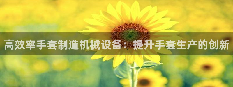 杏盛代理：高效率手套制造机械设备：提升手套生产的创新