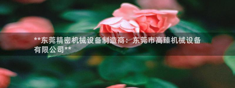 杏盛乐岳35994誓：**东莞精密机械设备制造商：东莞市高臻机械设备
有限公司*