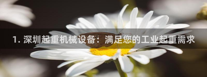 杏盛注册登录：1. 深圳起重机械设备：满足您的工业起重需求