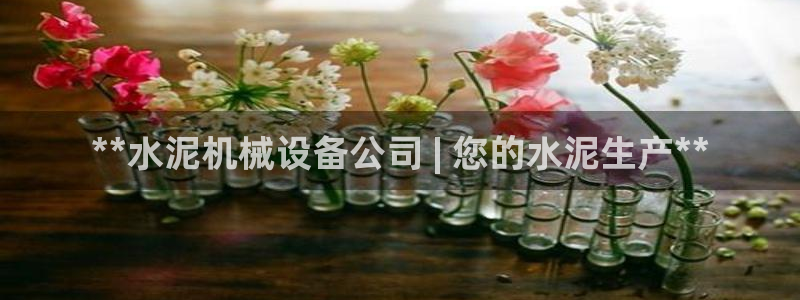 杏盛平台登录：**水泥机械设备公司 | 您的水泥生产**