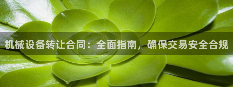 杏盛平台登陆：机械设备转让合同：全面指南，确保交易安全合规