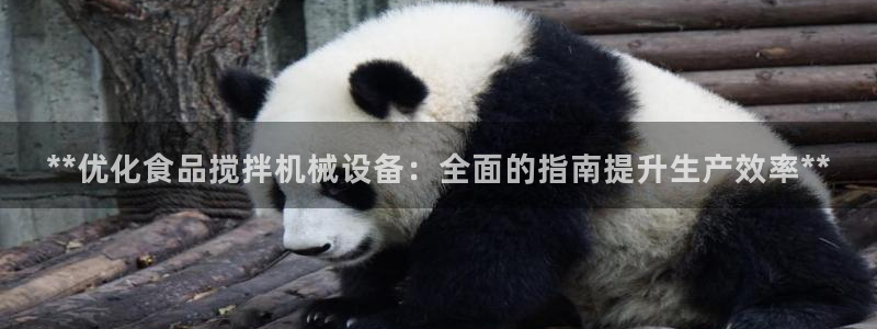 杏盛平台注册：**优化食品搅拌机械设备：全面的指南提升生产效率**