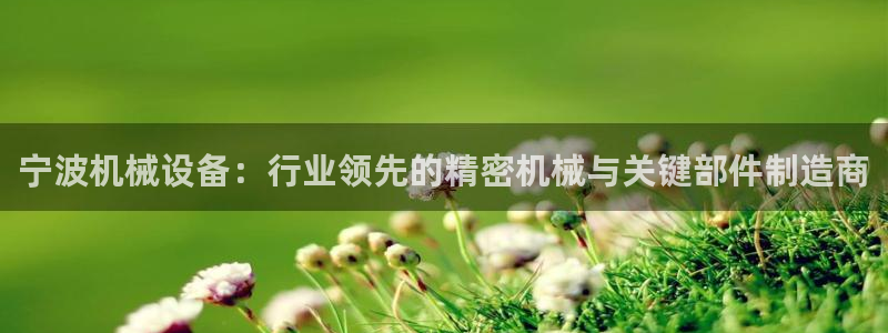 杏盛平台登录地址：宁波机械设备：行业领先的精密机械与关键部件制造商