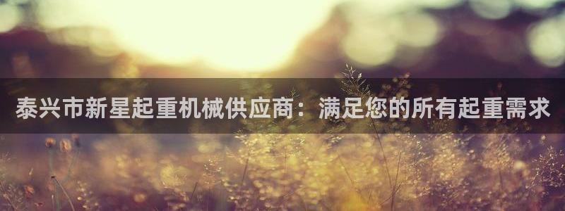 杏盛注册登录：泰兴市新星起重机械供应商：满足您的所有起重需求