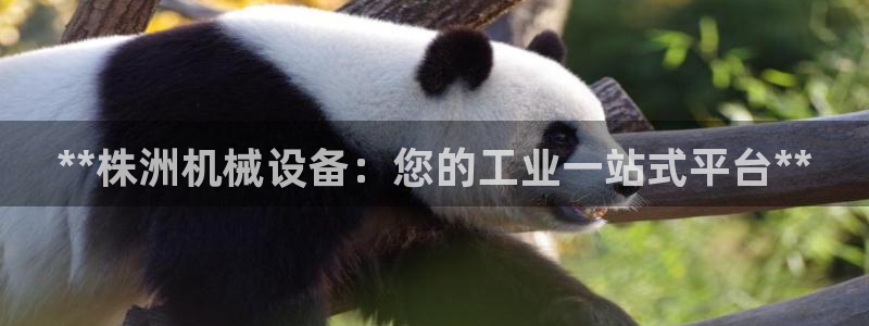 杏盛东24 35 53