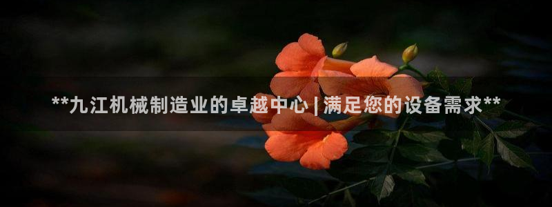杏盛平台登录：**九江机械制造业的卓越中心 | 满足您的设备需求**