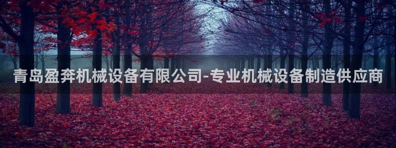 杏盛代理：青岛盈奔机械设备有限公司-专业机械设备制造供应商