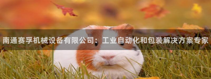 杏盛平台登陆地址：南通赛孚机械设备有限公司：工业自动化和包装解决方案专家