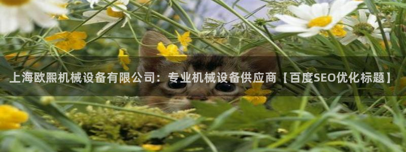 杏盛乐岳35994誓：上海欧熙机械设备有限公司：专业机械设备供应商【百度SEO优