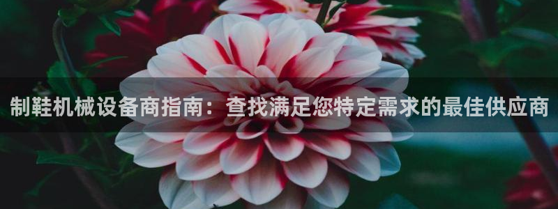 杏盛官网：制鞋机械设备商指南：查找满足您特定需求的最佳供应商