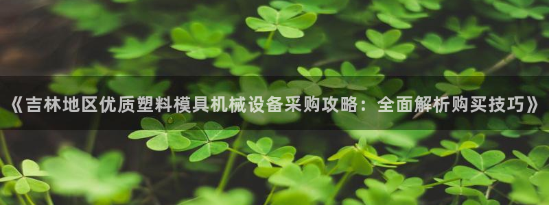 杏盛官网：《吉林地区优质塑料模具机械设备采购攻略：全面解析购买技巧》