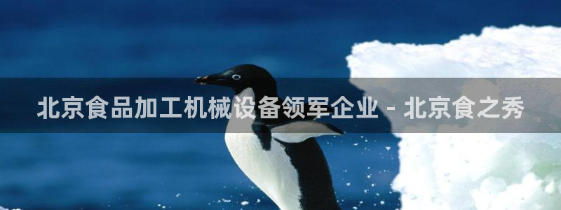 杏盛东24 35 53：北京食品加工机械设备领军企业 - 北京食之秀