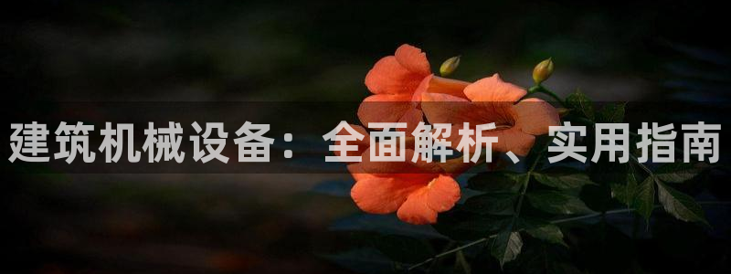 杏盛平台开户：建筑机械设备：全面解析、实用指南