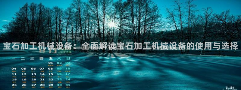杏盛代理：宝石加工机械设备：全面解读宝石加工机械设备的使用与选择