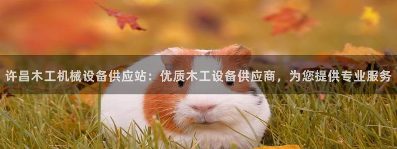 杏盛东24 35 53：许昌木工机械设备供应站：优质木工设备供应商，为您提供专业