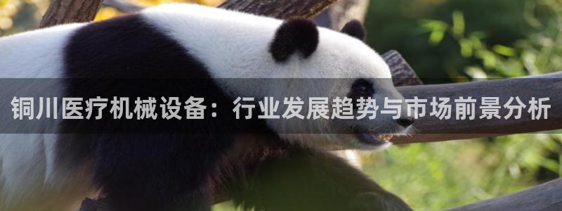 杏盛平台开户 贴吧：铜川医疗机械设备：行业发展趋势与市场前景分析