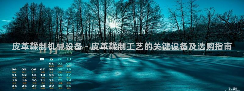 杏盛官网登录：皮革鞣制机械设备 - 皮革鞣制工艺的关键设备及选购指南
