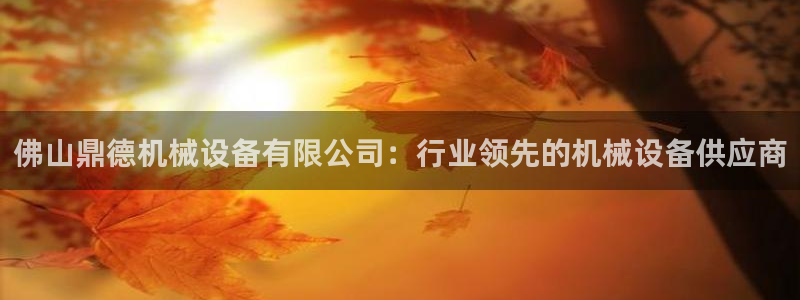杏盛平台主管：佛山鼎德机械设备有限公司：行业领先的机械设备供应商